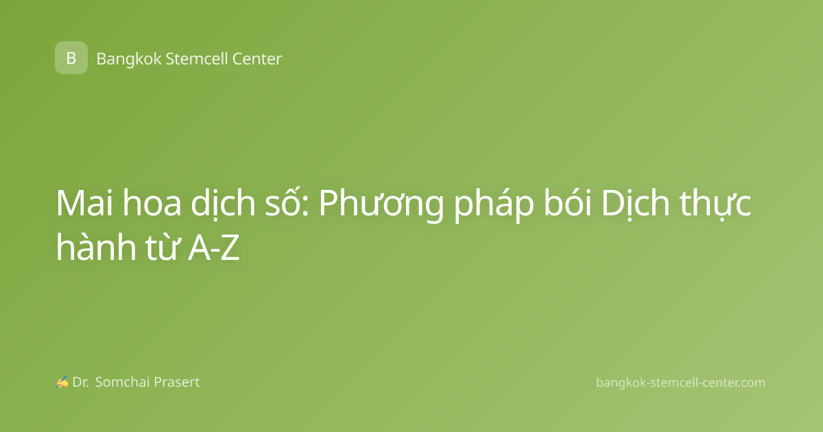 Mai hoa dịch số: Phương pháp bói Dịch thực hành từ A-Z