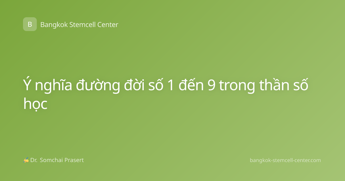 Ý nghĩa đường đời số 1 đến 9 trong thần số học